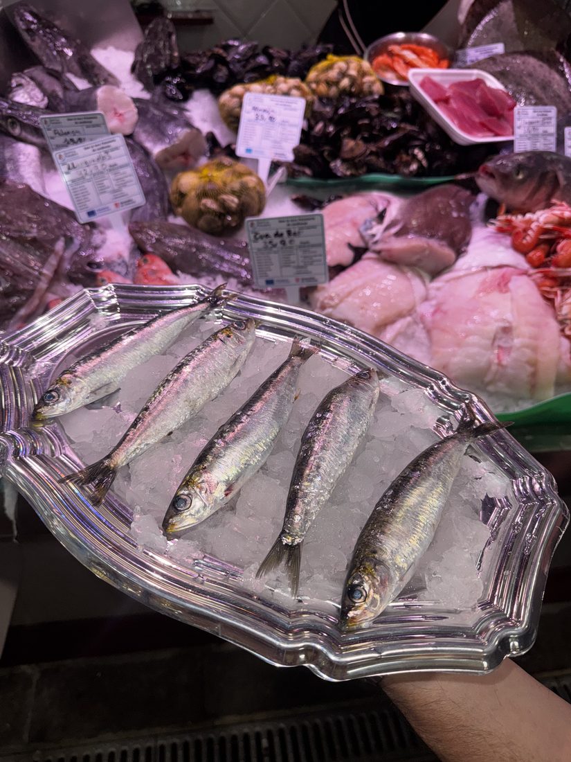 Bandeja de sardinas frescas sobre hielo