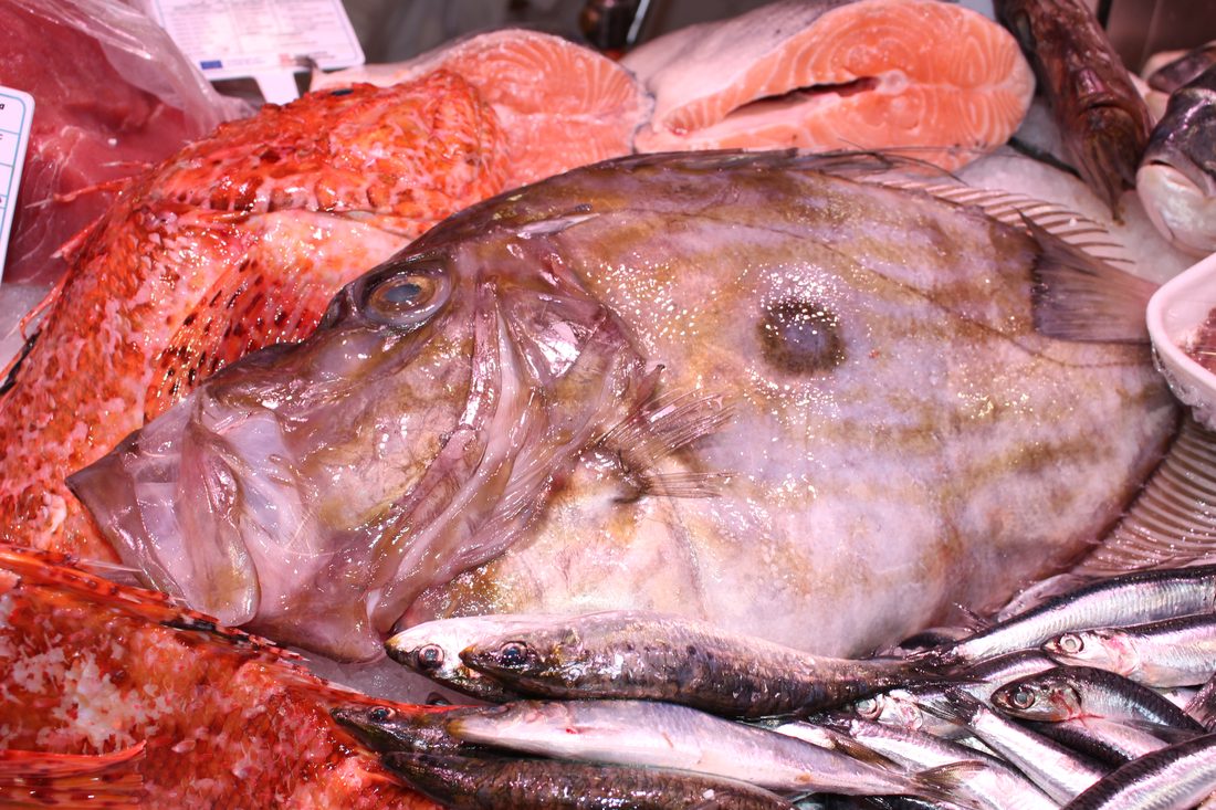 Mostrador con pescado fresco del día